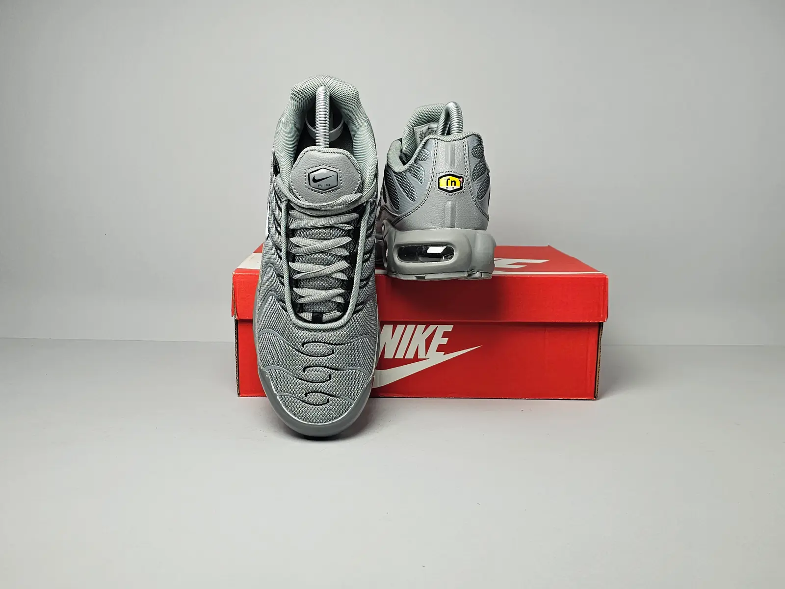 Wolf grey 4