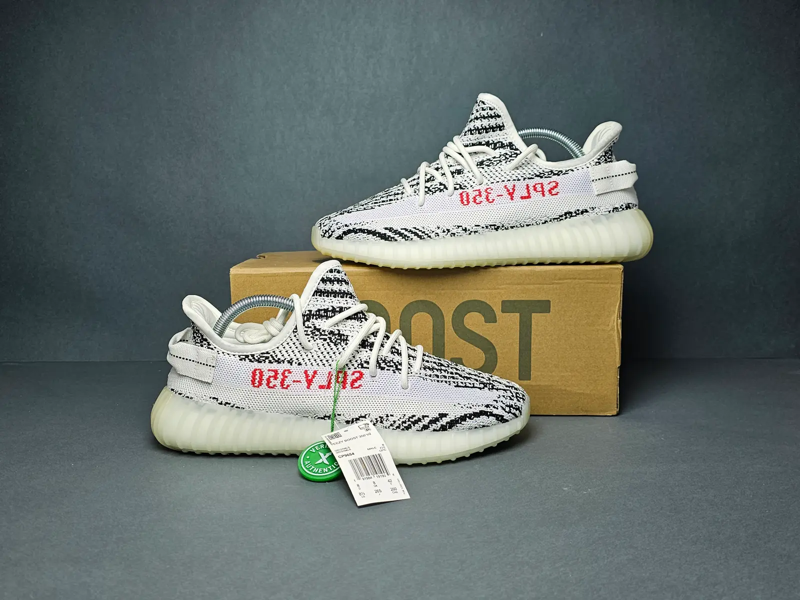 Zebra