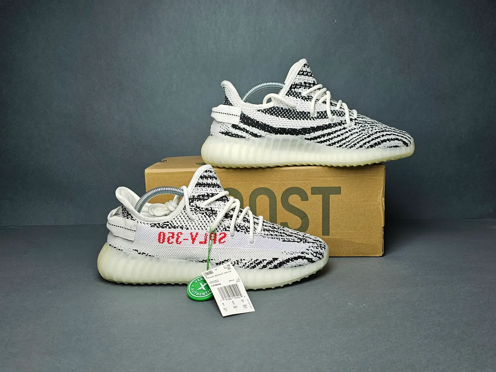 Zebra
